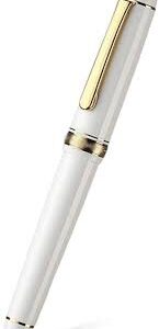 14k Gouden Vulpen met ABS Hars en Grote Penpunt