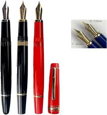 Vulpen met Iridium Nib en Hars Inkt